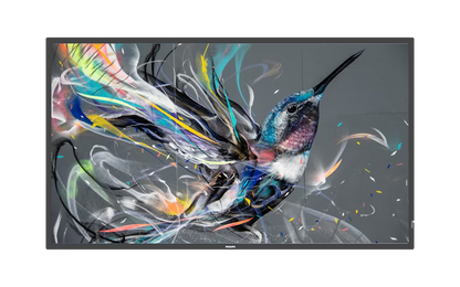 Philips 75" Q-Line Non-Android Digital Signage Display